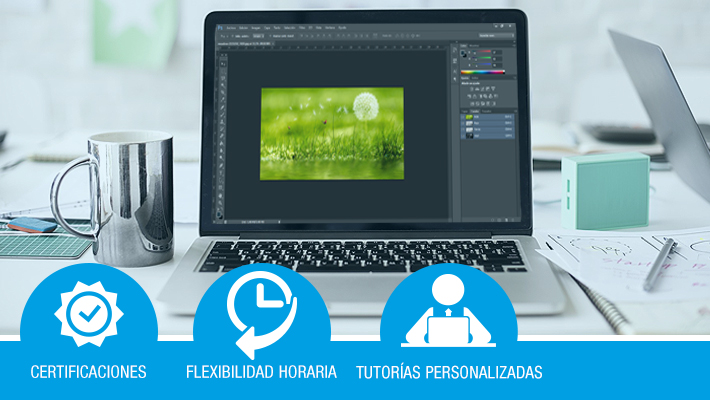 Photoshop CS 6*