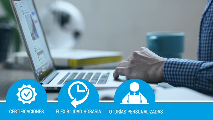 Desarrollo Web*