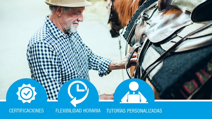 Preparación y acondicionamiento del ganado equino para su presentación en exhibiciones y concursos