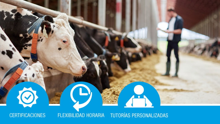 Instalaciones, maquinaria y equipos de explotación ganadera