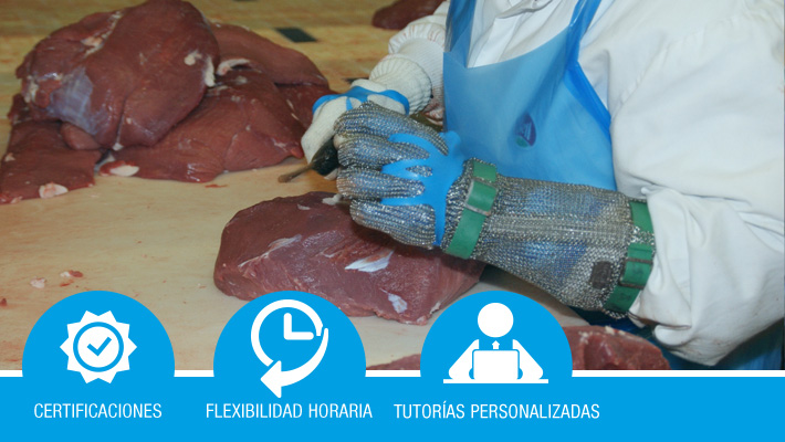 Elaboración de Preparados Cárnicos Frescos