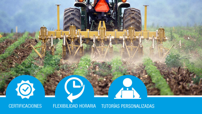 Control fitosanitario*