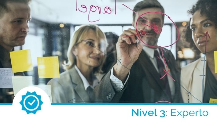 Formación para el liderazgo. Nivel experto