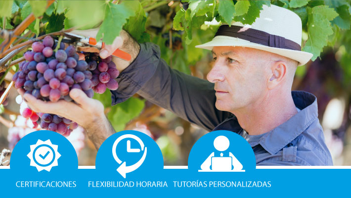 Operaciones culturales en los cultivos y de mantenimiento de instalaciones en explotaciones agrícolas (bonificada)