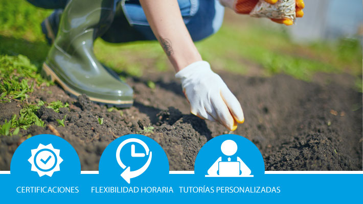 Operaciones auxiliares de preparación del terreno, plantación y siembra de cultivos agrícolas (bonificada)